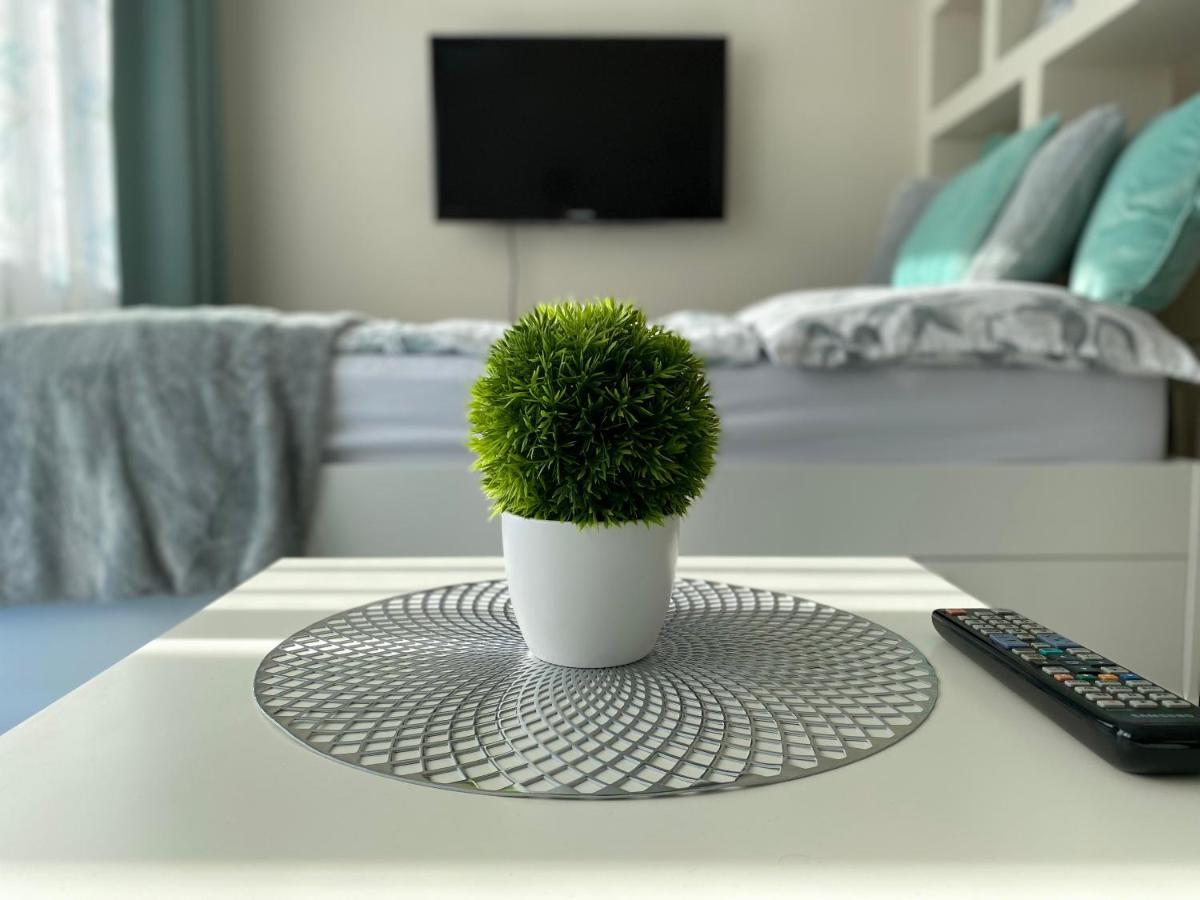 Zrinyi Central Apartman With Free Parking Mestecǎneşti Exterior foto
